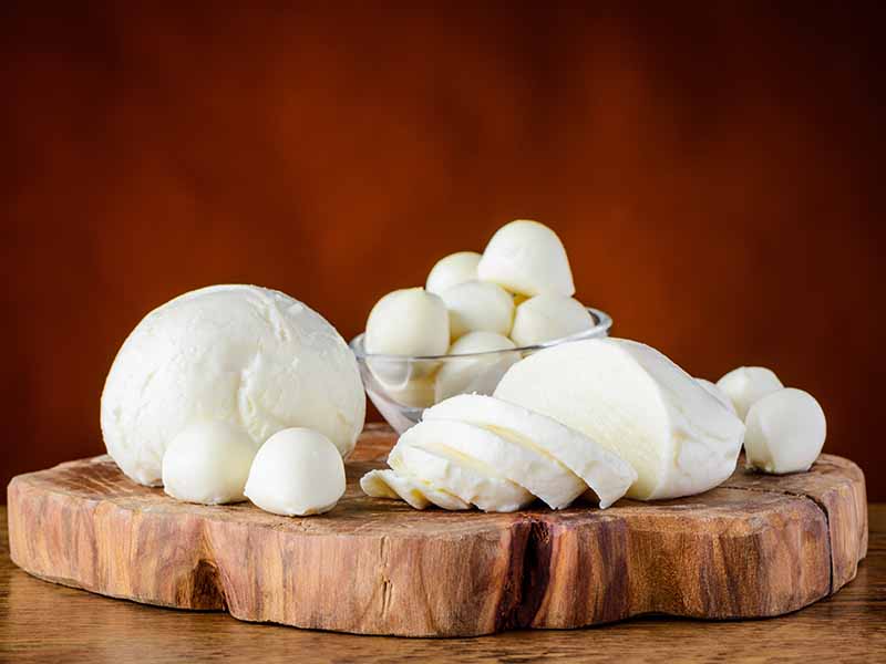 Il mondo in un piatto - La mozzarella